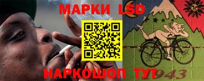 мдпв Новозыбков