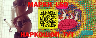 мдпв Новозыбков