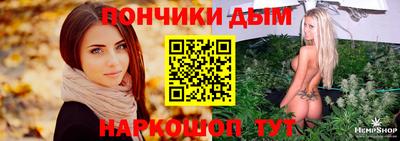 мдпв Новозыбков