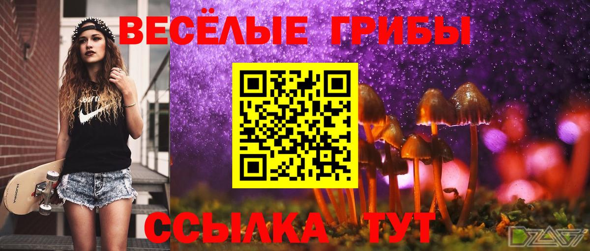 Псилоцибиновые грибы GOLDEN TEACHER  Вход с VPN  Великий Устюг 