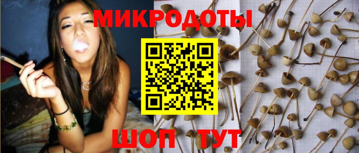 Псилоцибиновые грибы ЛСД Великий Устюг